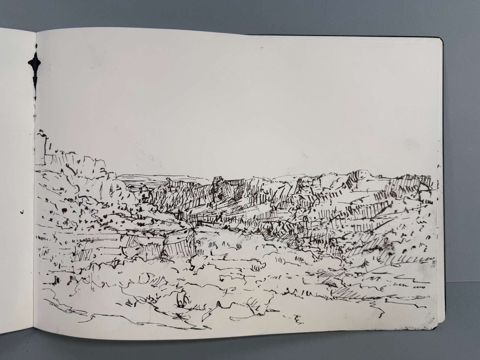 View in Escalante, ink, 14 x 17 inches, copyright 2023