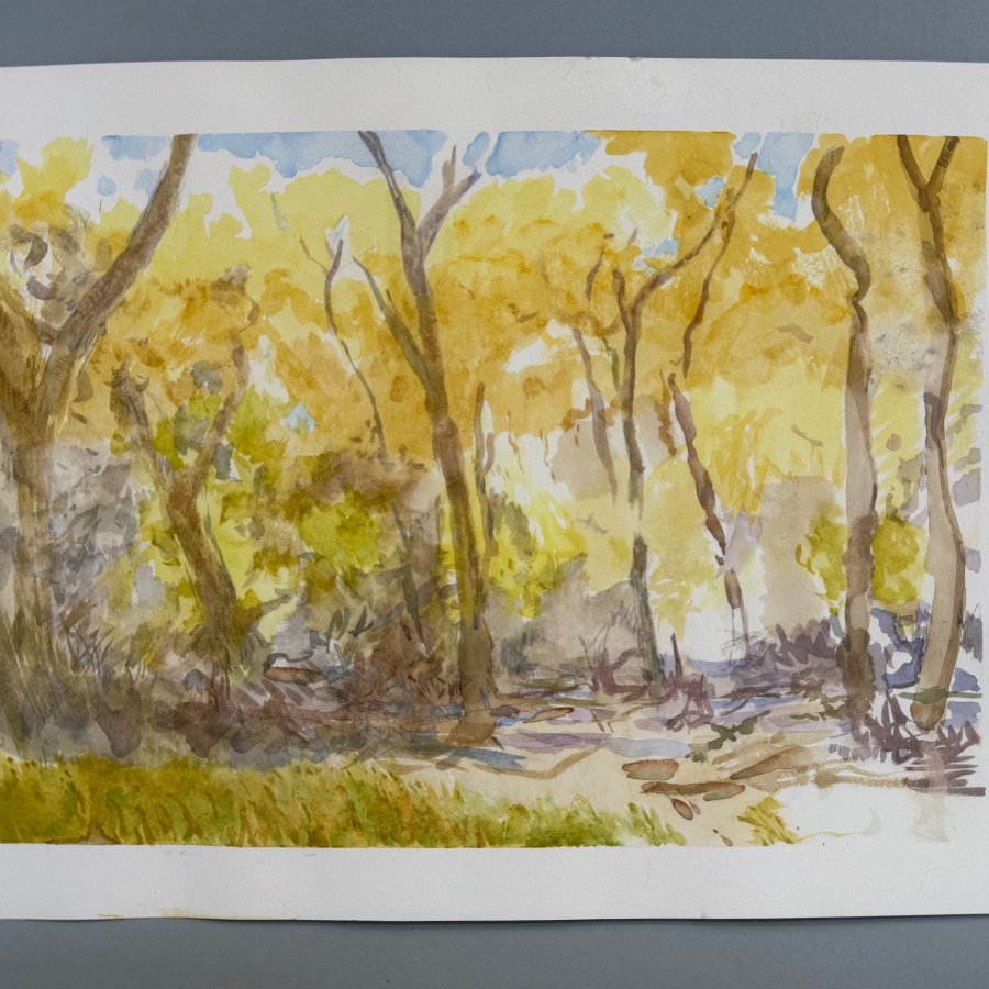 Bosque in October, 12 x 15 inches, watercolor, copyright 2022