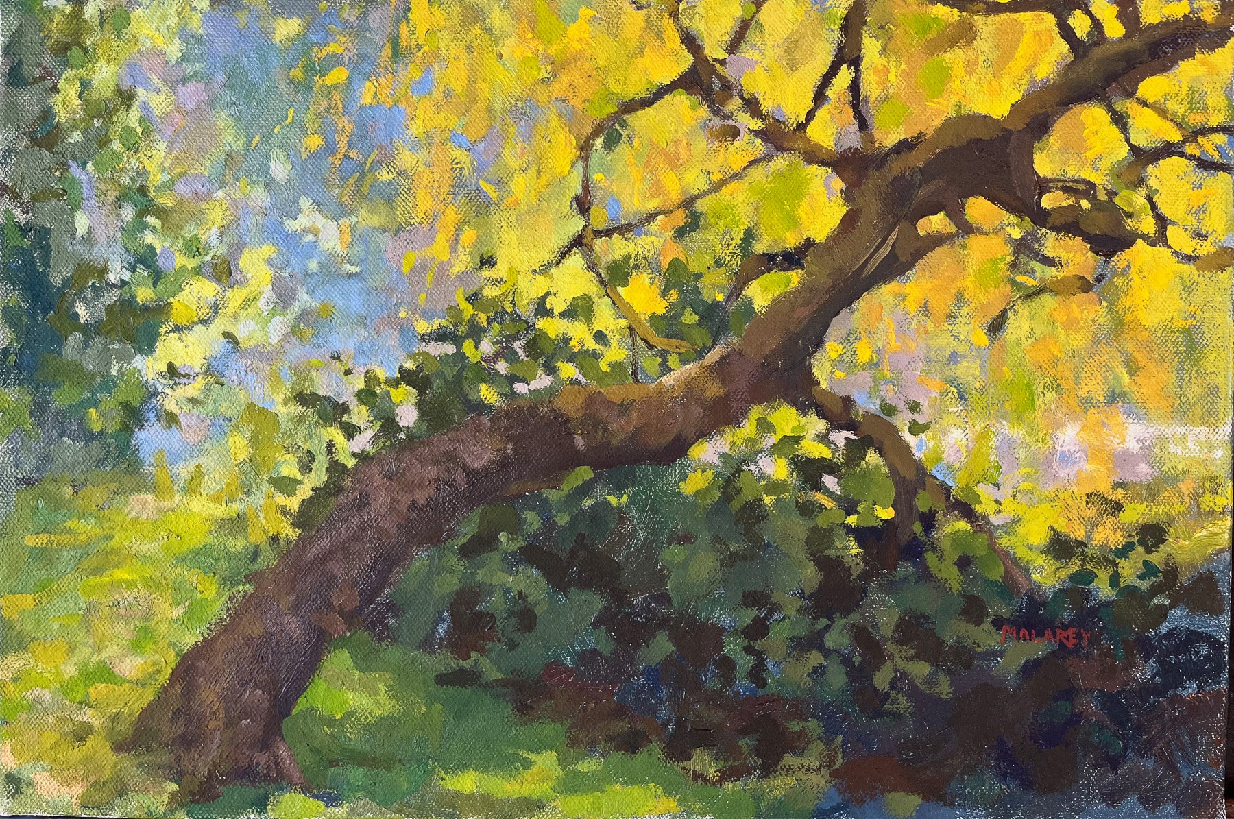 Willow tree, 14 x 18 inches, oil on linen, copyright 1994